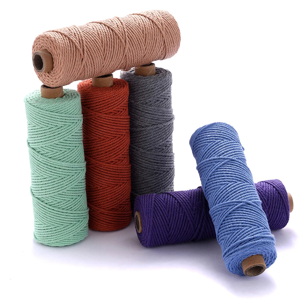2mm Colorful Cotton Cord Rope Twisted Craft Macrame String 100Meters