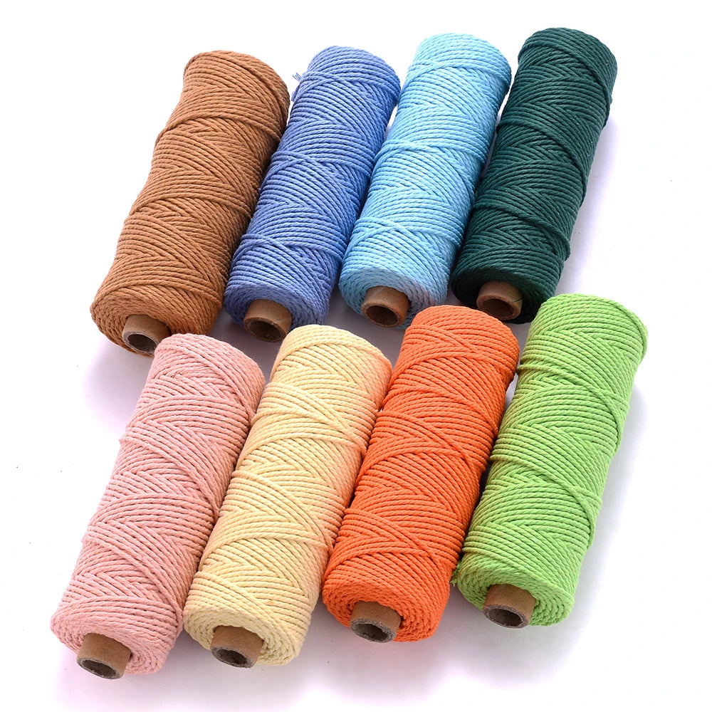 2mm Colorful Cotton Cord Rope Twisted Craft Macrame String 100Meters