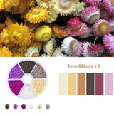 2mm Czech Glass Seed Beads Charm Crystal Spacer Seedbeads