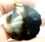 Natural Freshwater Shell Necklace Pendants 38*25MM P355