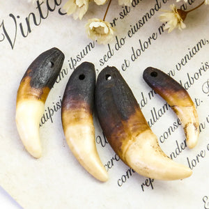 Natural Raw Dog Teeth Ecru Fang Unbleached Wolf Tooth Amulet Pendant