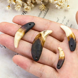 Natural Raw Dog Teeth Ecru Fang Unbleached Wolf Tooth Amulet Pendant