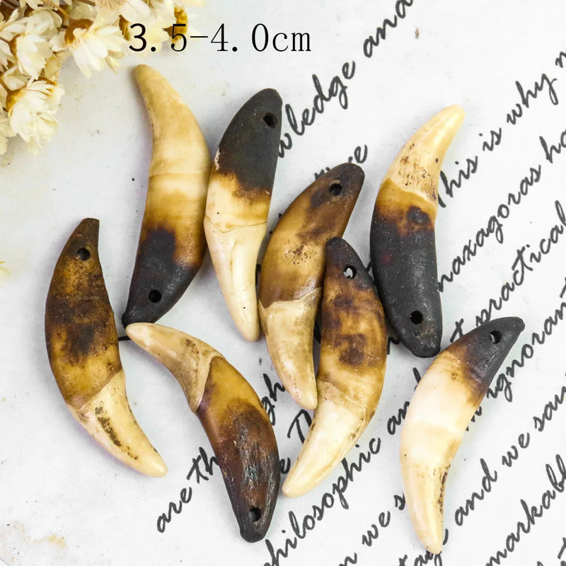 Natural Raw Dog Teeth Ecru Fang Unbleached Wolf Tooth Amulet Pendant