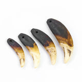 Natural Raw Dog Teeth Ecru Fang Unbleached Wolf Tooth Amulet Pendant