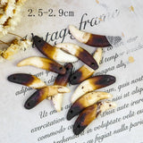 Natural Raw Dog Teeth Ecru Fang Unbleached Wolf Tooth Amulet Pendant