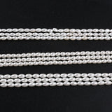 2pcs High Polished Mother of Pearl Shell Beads Strand