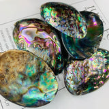 2pcs Abalone Paua Shell Pendants Sea Hand Craft DIY Jewelry Making