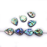 2pcs Abalone Shell Beads Various Shapes for DIY Necklace Making