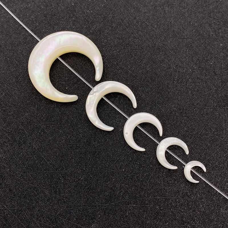 2pcs Natural Sea Shell DIY Necklace Earrings Bracelet Charm Jewelry Making