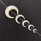 2pcs Natural Sea Shell DIY Necklace Earrings Bracelet Charm Jewelry Making