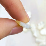 2pcs Shell Beads Fatima Hand Charm for DIY Jewelry Making