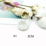 2pcs Shell Edition Personality Hair Accessories DIY Grab Clip