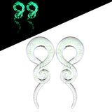 2pcs Glow in the Dark Ear Plugs Tunnels Spiral Taper Earring Gauges