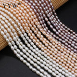 Natural Freshwater Pearls Beads Rice Shape Jewelry Making DIY Necklace Bracelet