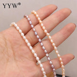 Natural Freshwater Pearls Beads Rice Shape Jewelry Making DIY Necklace Bracelet
