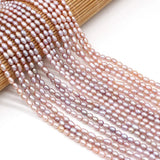 3-4mm Freshwater Pearl Rice Shape Beads 14''