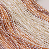 3-4mm Freshwater Pearl Rice Shape Beads 14''