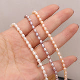 3-4mm Freshwater Pearl Rice Shape Beads 14''