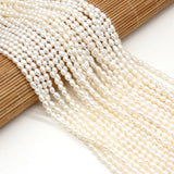 3-4mm Freshwater Pearl Rice Shape Beads 14''