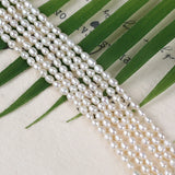 3.5-4mm Freshwater Rice Pearl Strand
