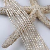 3.5-4mm Freshwater Rice Pearl Strand