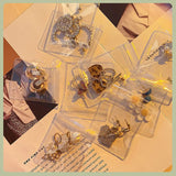 Transparent Earring Organizer Bag Zipper Case with 30 PVC Storage Bag