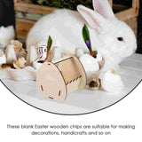 Easter Decoration DIY Kids Painting Set with Boxwood Ornaments