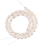 3 Strands Freshwater Pearl Beads Rice Shape Creamy
