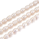 3 Strands Freshwater Pearl Beads Rice Shape Creamy
