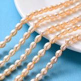 3 Strands Freshwater Pearl Beads Rice Shape Creamy