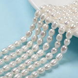 3 Strands Freshwater Pearl Beads Rice Shape Creamy