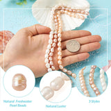Natural Cultured Freshwater Pearl Beads Boho Jewelry DIY Making