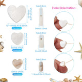 3 Strands Freshwater Shell Heart Beads for Jewelry Making Summer DIY