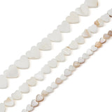 3 Strands Freshwater Shell Heart Beads for Jewelry Making Summer DIY