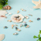 B Natural Freshwater Pearl Charms for DIY Jewelry Making
