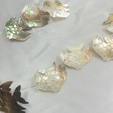10Pcs Fish Shape Natural Sea Shell Bead Pendants Charms