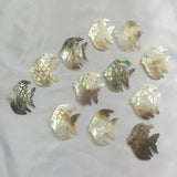 10Pcs Fish Shape Natural Sea Shell Bead Pendants Charms