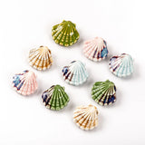 5pcs Colorful Scallop Ceramic Pendant for Necklace #MY206