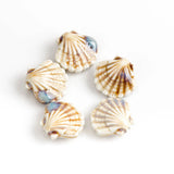 5pcs Colorful Scallop Ceramic Pendant for Necklace #MY206