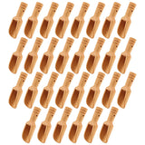 30 Pcs Mini Wooden Spoon, Set of Small Spoons for Bath and Baby Care