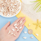 300pcs Seashell Beads 2 Styles Ocean Beach Spiral Shells Craft Charms 1mm Hole