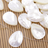 30PCS Teardrop Shell Mother of Pearl Jewelry Making