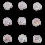 30Pcs Glass Matte Beads Snail Shape 11X12MM Crystal Stone Pendant DIY Making