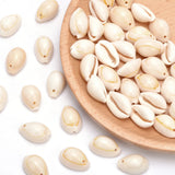 30Pcs Sea Shell Beads Cowrie Charm DIY Necklace Bracelet Jewelry Findings