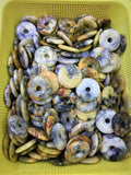 Crazy Lace Agates Donuts Shape Stone Beads 5pcs/lot
