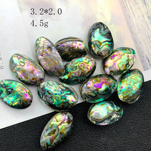 30mm Abalone Shell Pendant Charm Necklace Earrings