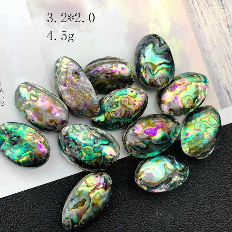 30mm Abalone Shell Pendant Charm Necklace Earrings