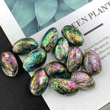 30mm Abalone Shell Pendant Charm Necklace Earrings