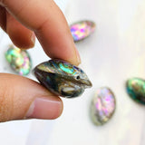 30mm Abalone Shell Pendant Charm Necklace Earrings