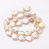 30pc Natural Keshi Pearl Bead Strands Flat Round 11~12x4~5mm